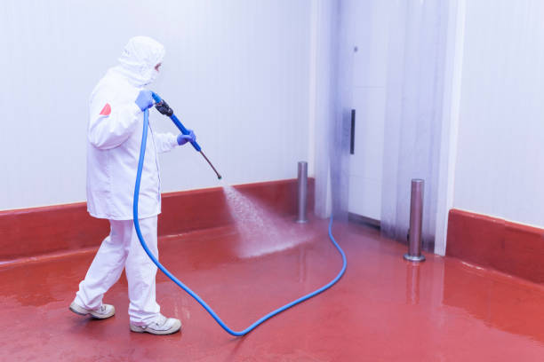 Best Driveway Cleaning and Restoration in Salisbury, NC